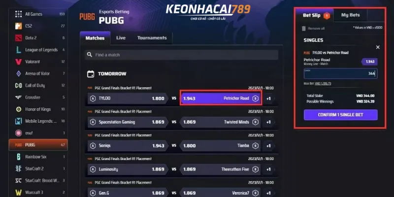cá cược PUBG