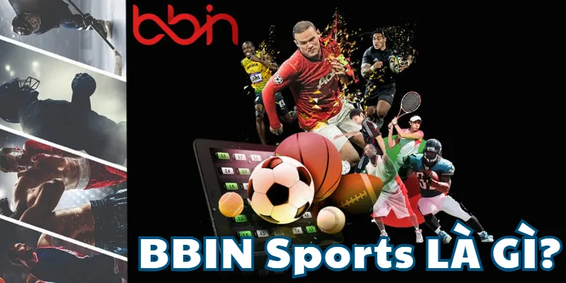 BBIN Sports – Giao Diện Cổ Điển, Odds Chuẩn Châu Á BBIN Sports