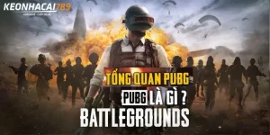 PUBG là gì