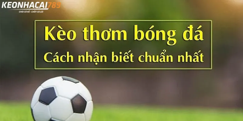 Kèo Thơm Là Gì? Cảnh Giác Với Tỷ Lệ Trông Có Vẻ Ngon kèo thơm